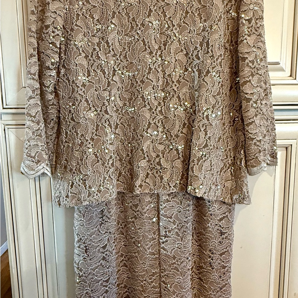 Like New! Alex Evening Elegant Lace Dress Set in Tan-Gold! Size 14 - Picture 4 of 8